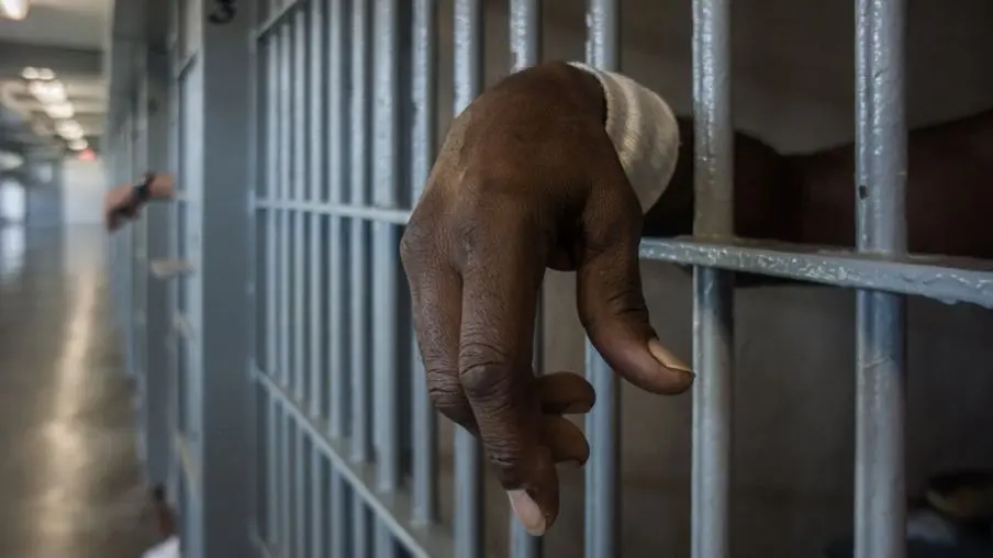 Court remands alleged car robber