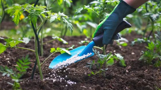 World Bank projects sharp rise in global fertiliser prices in 2026, warns of food inflation risks