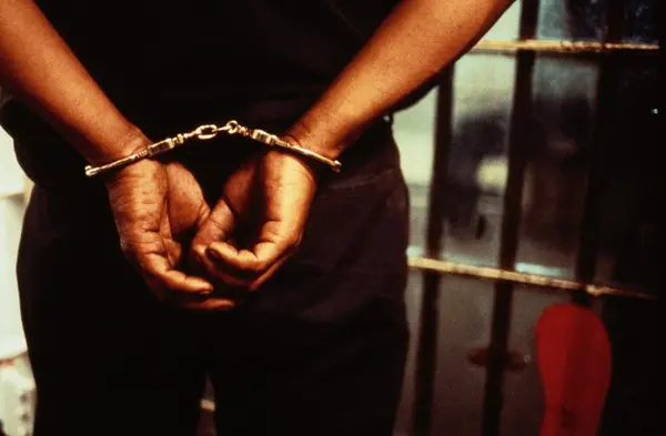 Police, Immigration arrest 12 foreign nationals in cyber fraud, trafficking crackdown