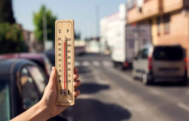 Thousands may have died in UK’s exceptional May and June heatwaves