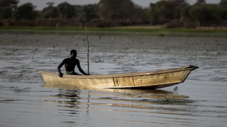 Dozens of Nigerian fishermen feared dead after Chad air strikes on Boko Haram