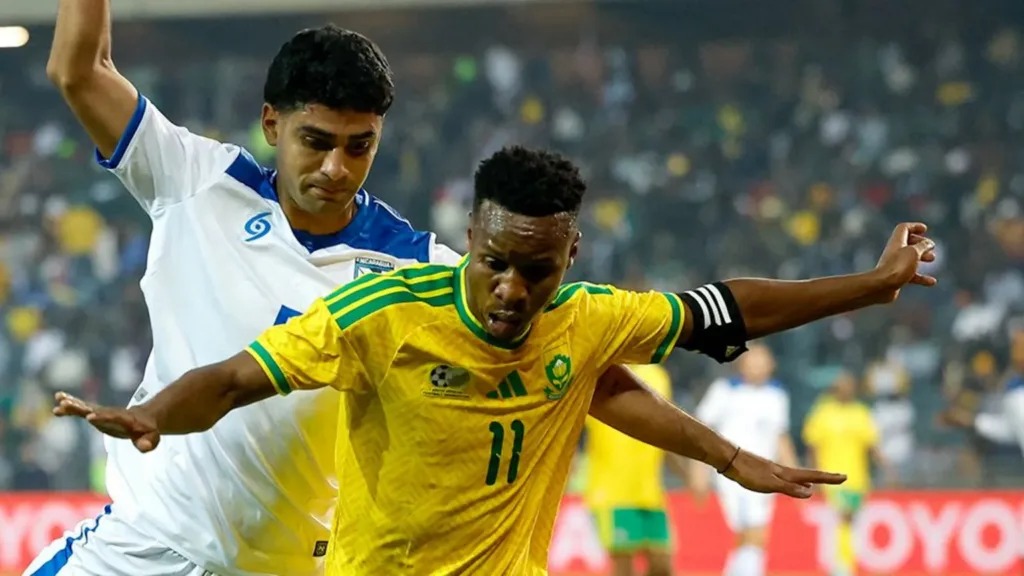 South Africa made to look like fools over World Cup visa issues, says minister