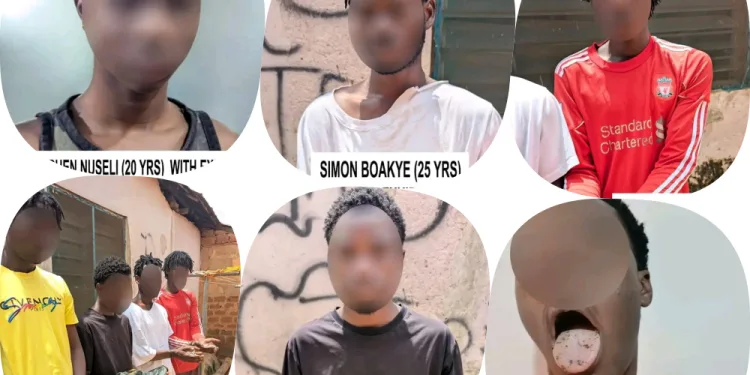 44 arrested as Police dismantle alleged drug network targeting university students