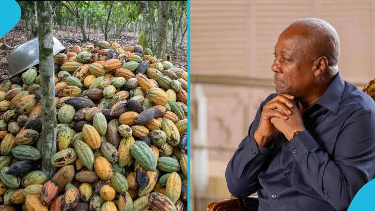 “Young cocoa farmers are losing confidence” — Adu warns of crisis in the sector