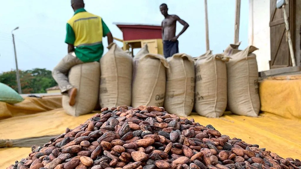 Ghana maintains cocoa producer price despite decline in global market