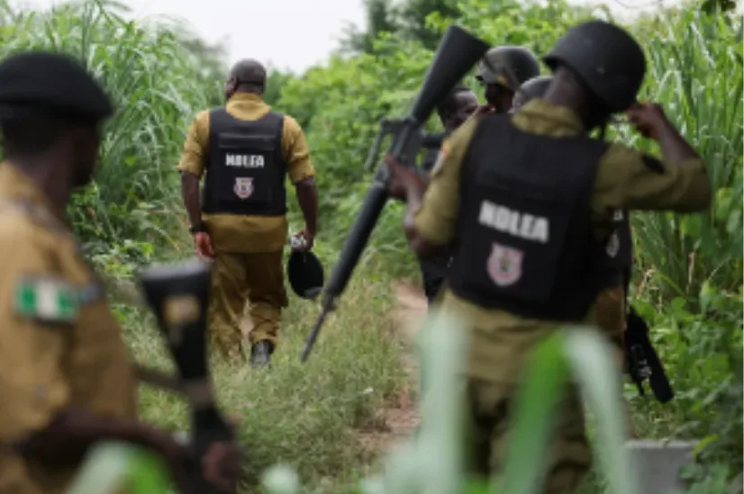 Bandits kill at least 24 farmers in fresh attack in Nigeria’s Zamfara State
