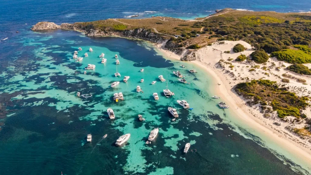 Tributes flow after Australian shark attack victim named as father-of-two