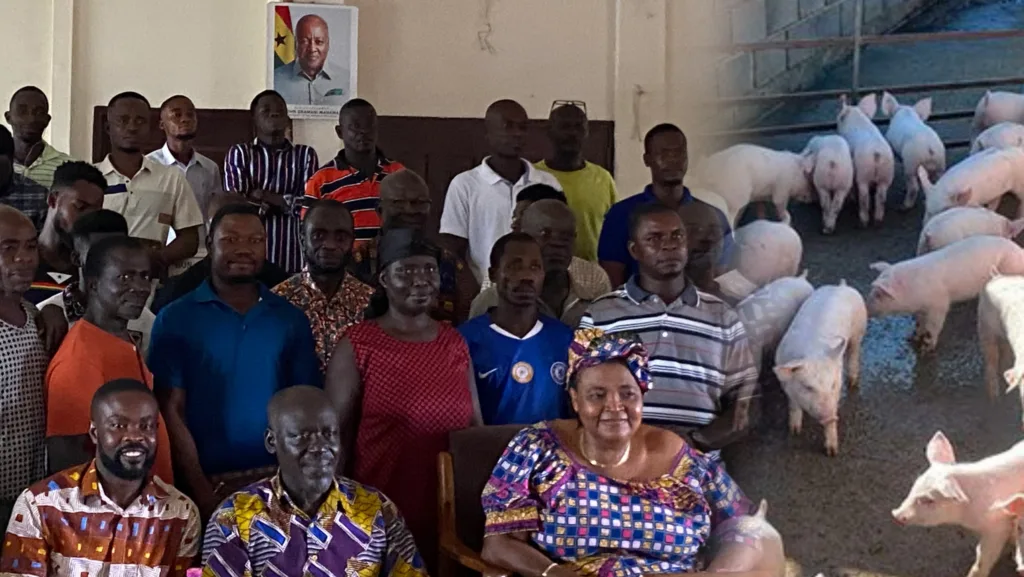 Pig farmers demand “Prako Nkitinkiti” support to mirror government’s poultry initiative