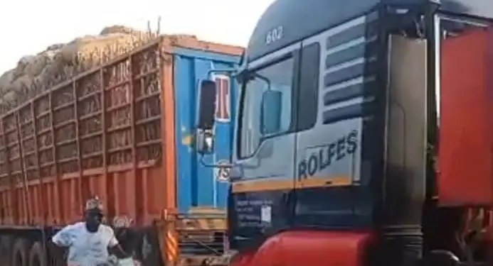 Onion supply faces disruption as trucks from Niger held up in Nigeria