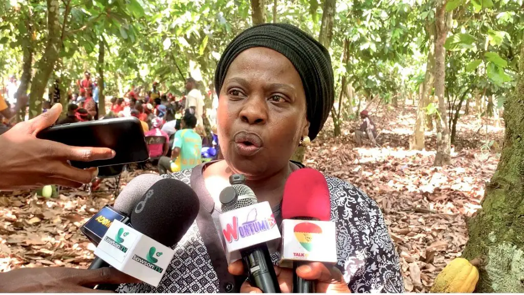 Gov’t must heed plight of women in cocoa price crisis – Afigya Kwabre South MP