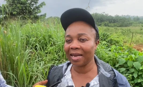 I don’t have full control over galamsey hotspots due to police jurisdiction disputes – Juaben MCE