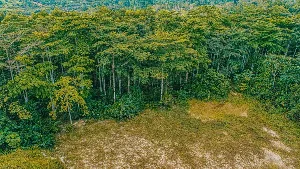 CSOs back CRC proposals on environmental governance, urge implementation roadmap
