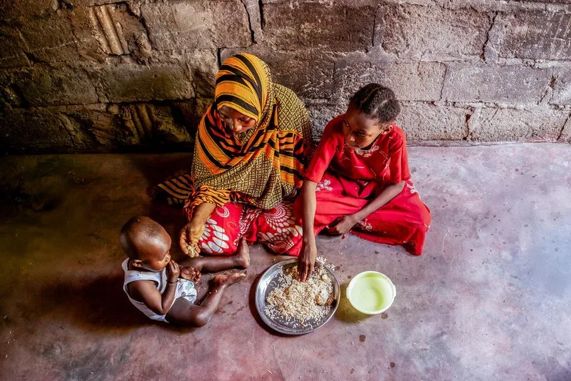 Africa’s food insecurity eases: The next task is making the gains harder to reverse