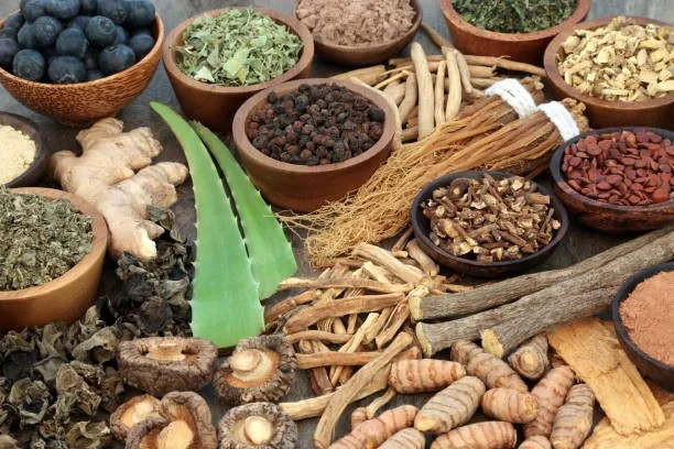 Pan-African Parliament turns to traditional medicine to cut maternal and infant deaths