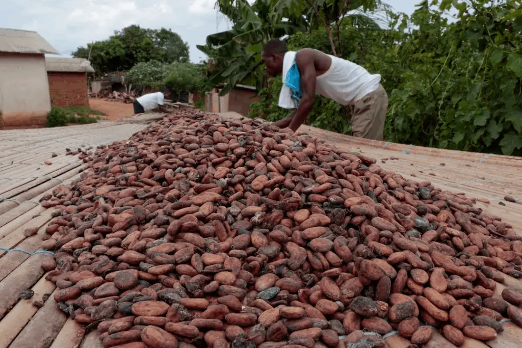 War, shipping risks, and surplus supply put Ghana’s cocoa sector at a crossroads