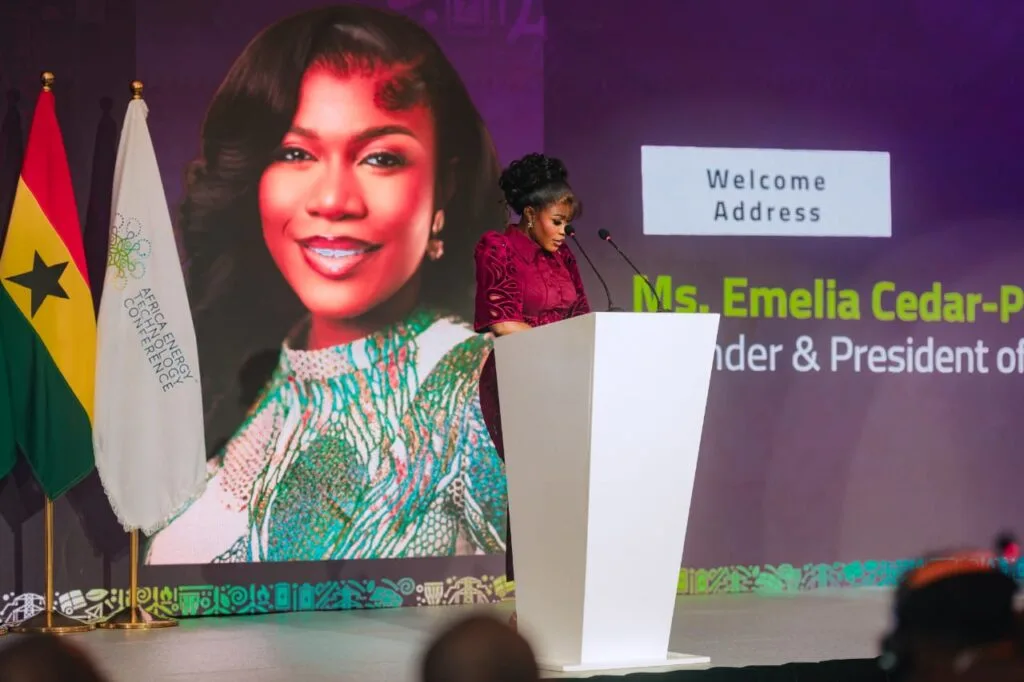 AETC President advocates energy and technology integration for a united Africa at 2026 conference