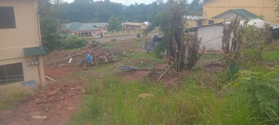 WASSCE preparation disrupted as electricity pole falls, Tanyigbe SHS plunged into darkness