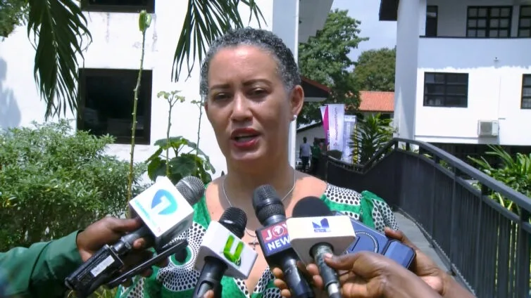 Power outages could drive up cost of digital services — NITA