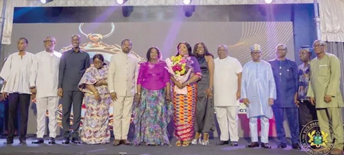 Renew commitment to professionalism - Vice-President urges civil service staff
