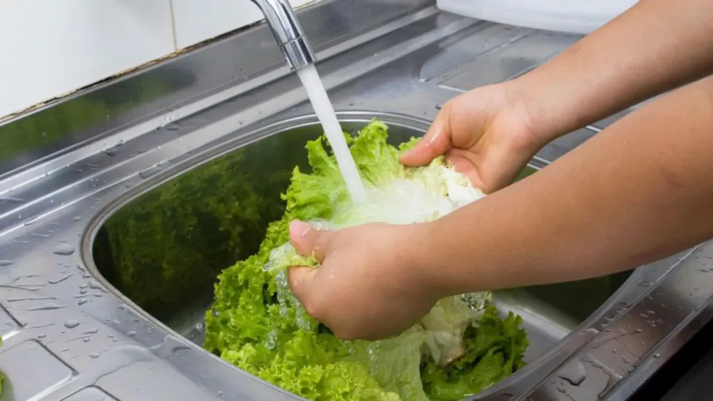 What to know about ‘explosive diarrhoea’ parasite outbreak in US