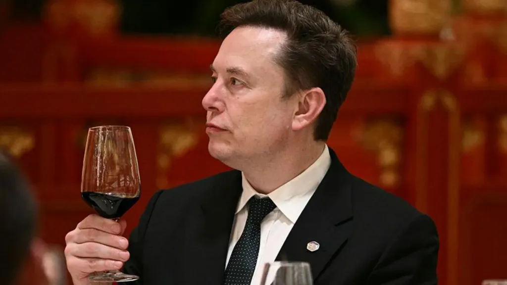 ‘Let’s enjoy the ride’ says Elon Musk, as AI fears mount