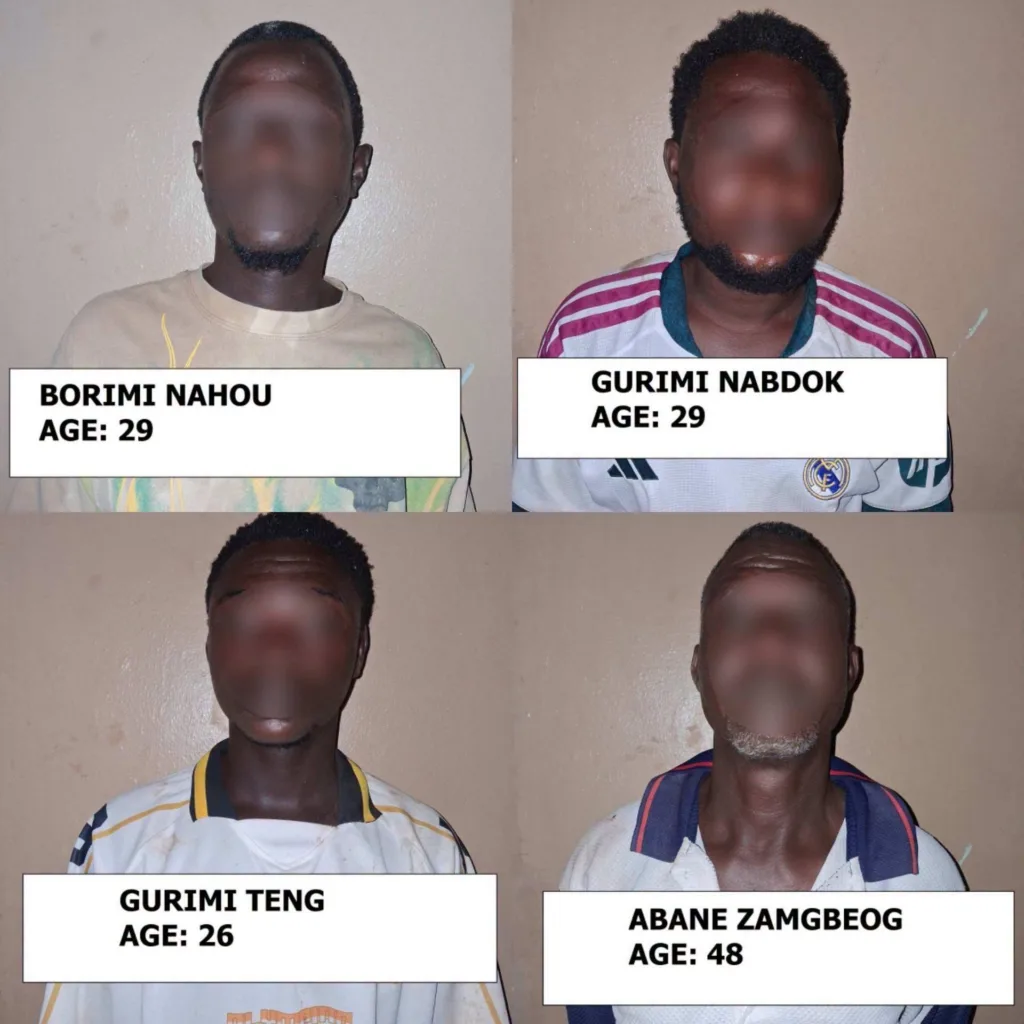 14 arrested over suspected narcotics cultivation, distribution in Upper East