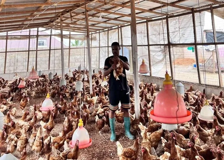 There is a disconnect between local and national poultry policy – Ali Muhammed