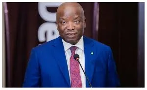 Mid-Year Budget Review: Deloitte commends government for encouraging domestic revenue performance