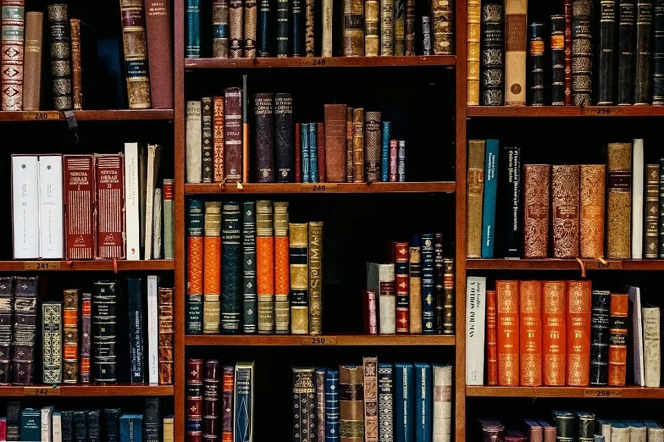 Prof. Kofi Agyekum: Authorship is earned, not owed: Protecting integrity in academic research