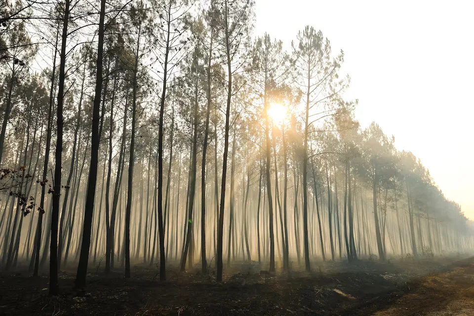 Major wildfire stabilises in central Spain but rising temperatures bring new alerts
