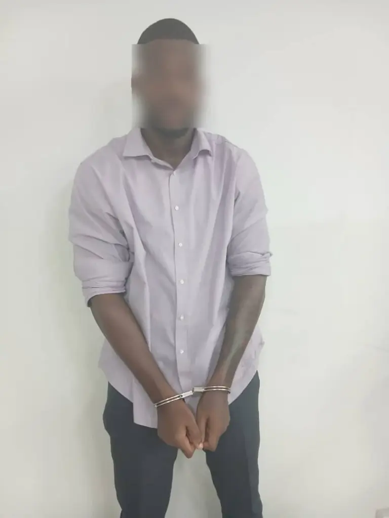 23-year-old student arrested for publishing obscene content online