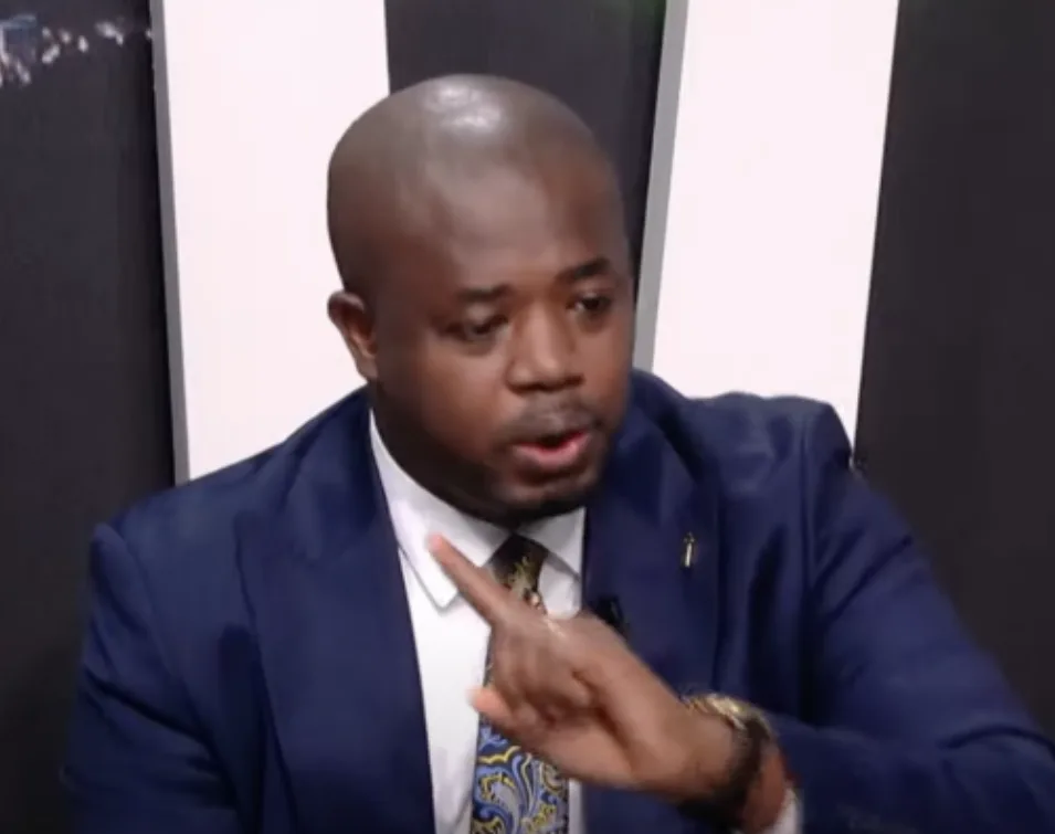 Nana B’s criticism of Sedina Tamakloe acquittal is politically motivated – Edudzi Tamakloe