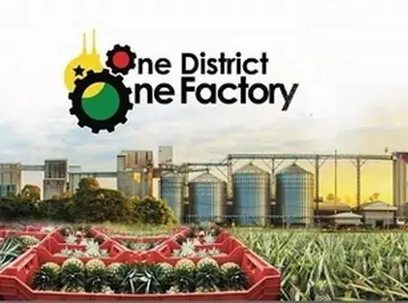 Audit uncovers fictitious GH¢89.4m debt under 1D1F programme
