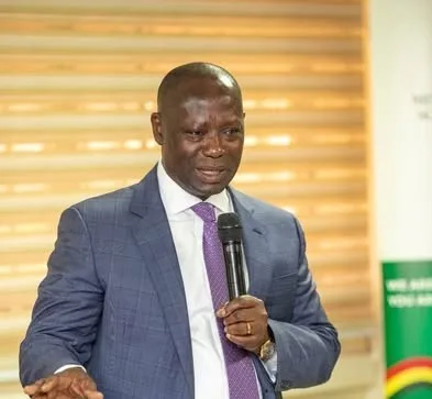 258 suspects in six-month crackdown on illegal mining in forests – Lands Minister