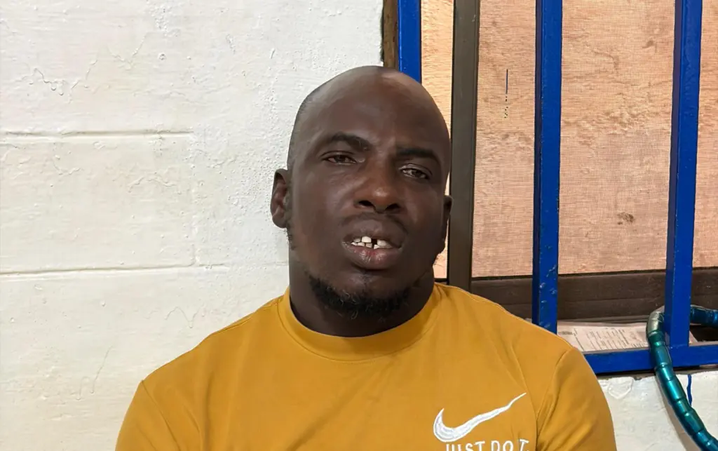 Voxy driver in viral video jailed for careless driving