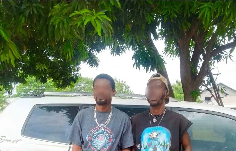 Two arrested in Kintampo with suspected cannabis worth over GH¢100,000