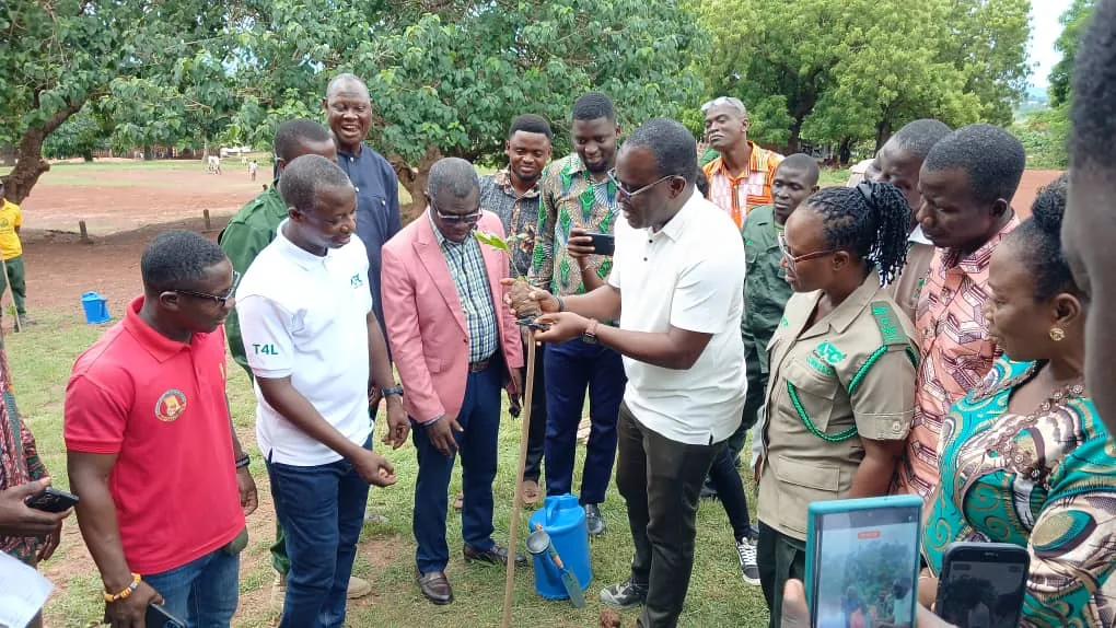 Eastern Region: Stop felling fresh trees for firewood – Forestry Commission warns