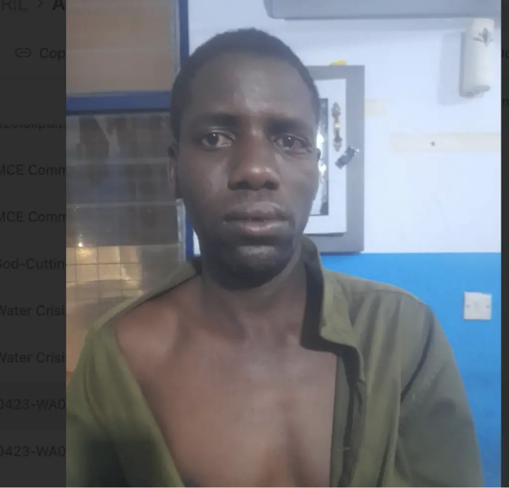 Police arrest suspected hardened armed robber