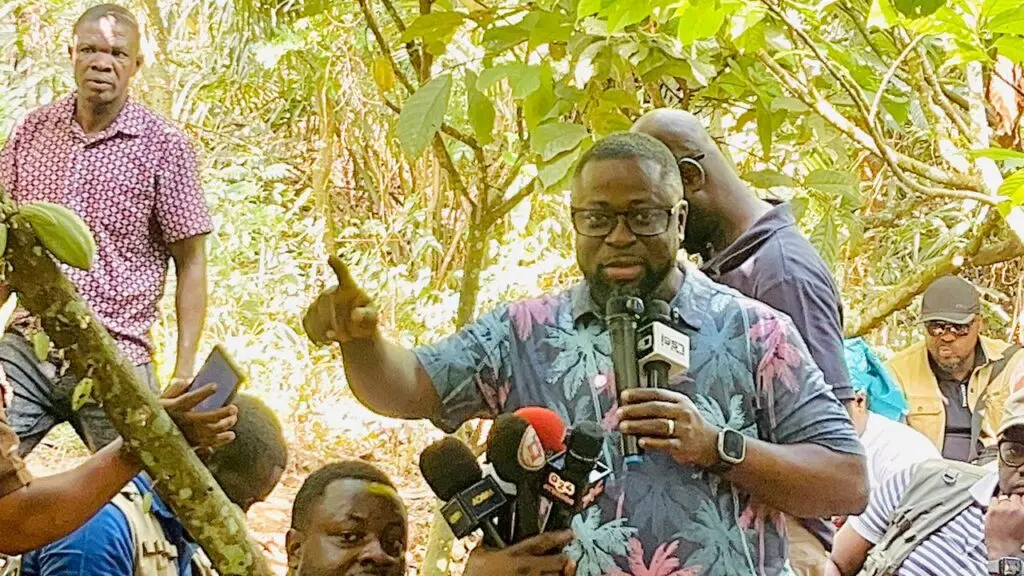 Gov’t should have set up special support fund for cocoa farmers instead – Offinso North MP
