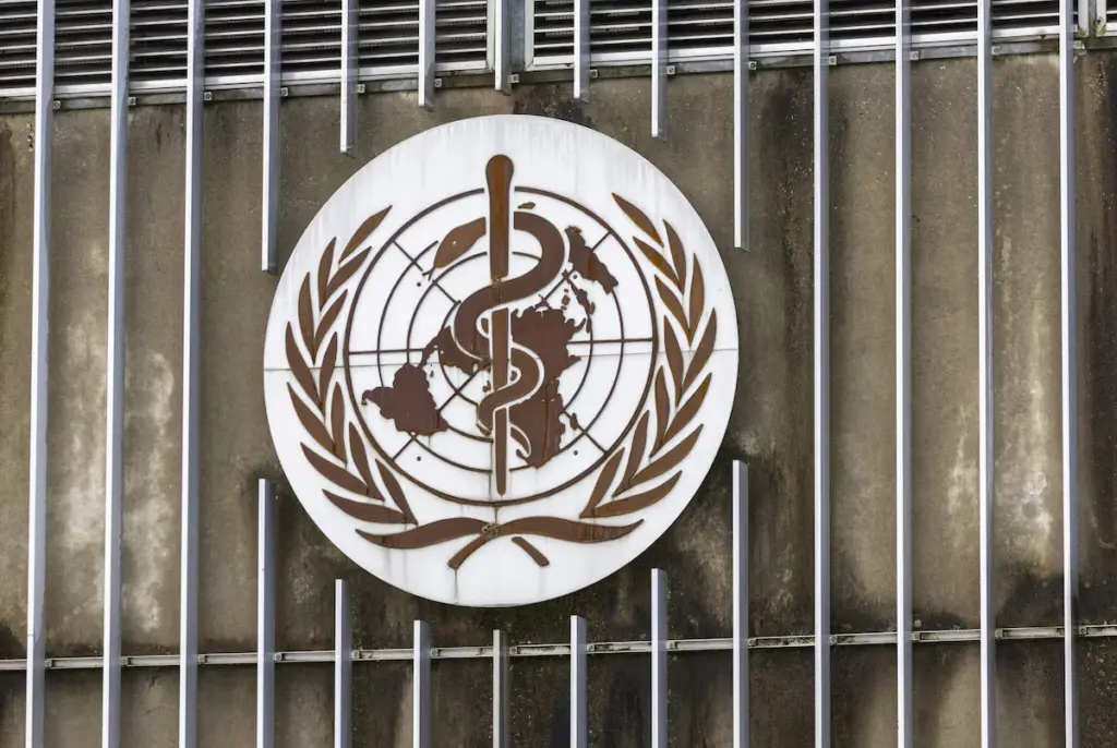 Human-to-human hantavirus transmission suspected on board stranded cruise ship, WHO says