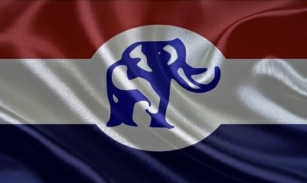 High court stops NPP constituency executive elections in Bibiani
