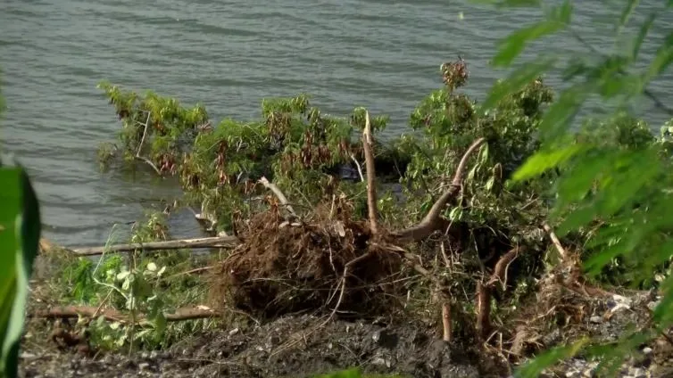 World Environment Day: Oheneba Poku Foundation bemoans galamsey impacts around Lake Bosomtwe
