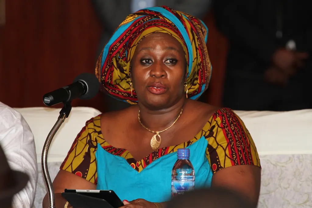 Vincent Ekow Assafuah writes: Welcome home Sedina