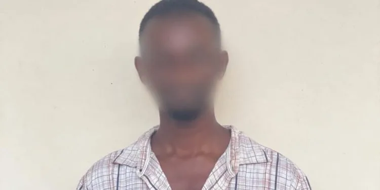 27-year-old man arrested over provocative TikTok video on death of Mion Lana