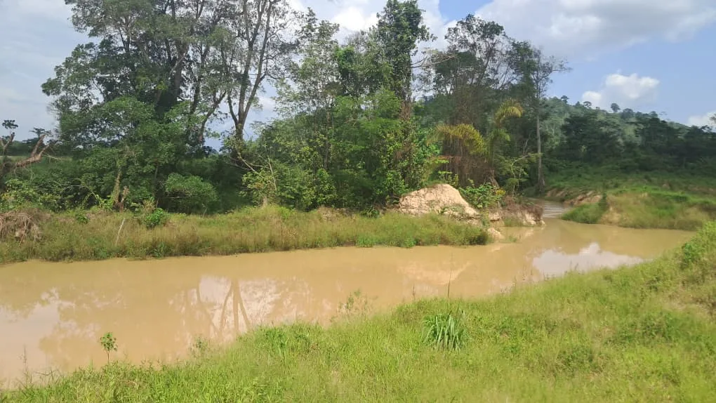 Lands and Mines Watch welcomes Wontumi verdict, urges tougher action against illegal mining