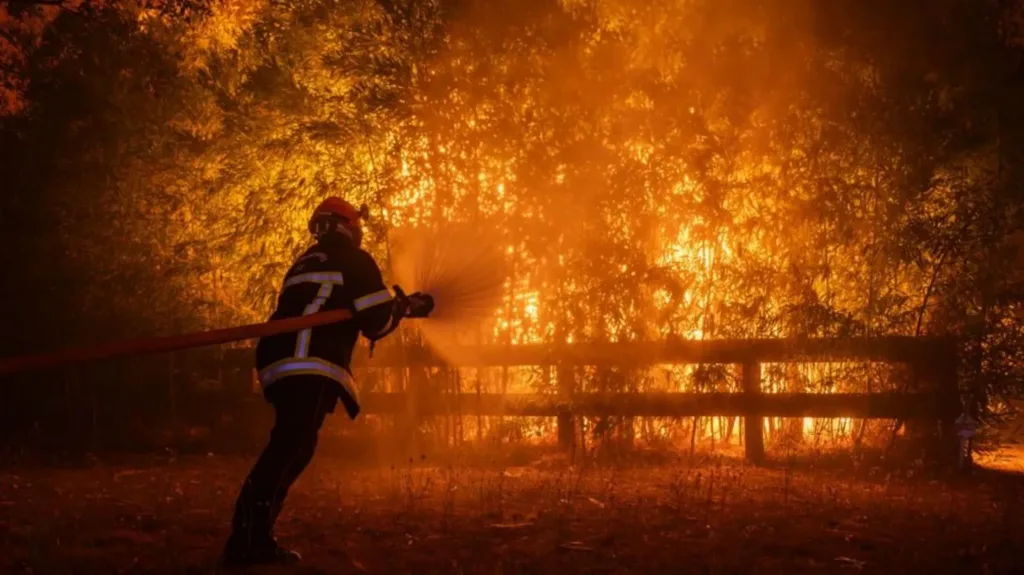 Wildfire now nine miles from French city of Bordeaux, mayor warns