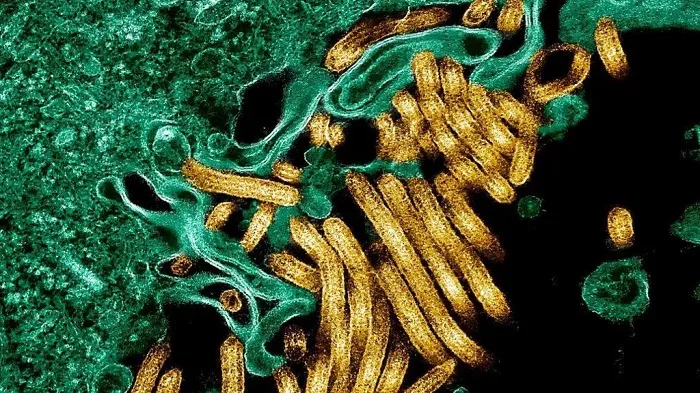 Ghana has not recorded any case of Ebola virus disease - Health Ministry clarifies; SABC news apologises for 'error' and 'incorrect' report
