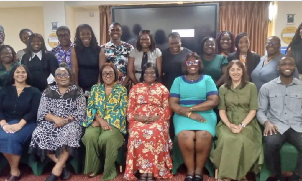 Stakeholders advocate laws to address technology-facilitated gender-based violence