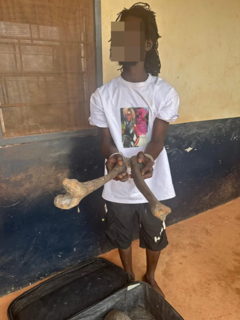 Man, 22, arrested with skeletal parts at Sefwi Atronsu