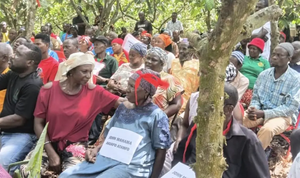 Aggrieved cocoa farmers urge Parliament intervention